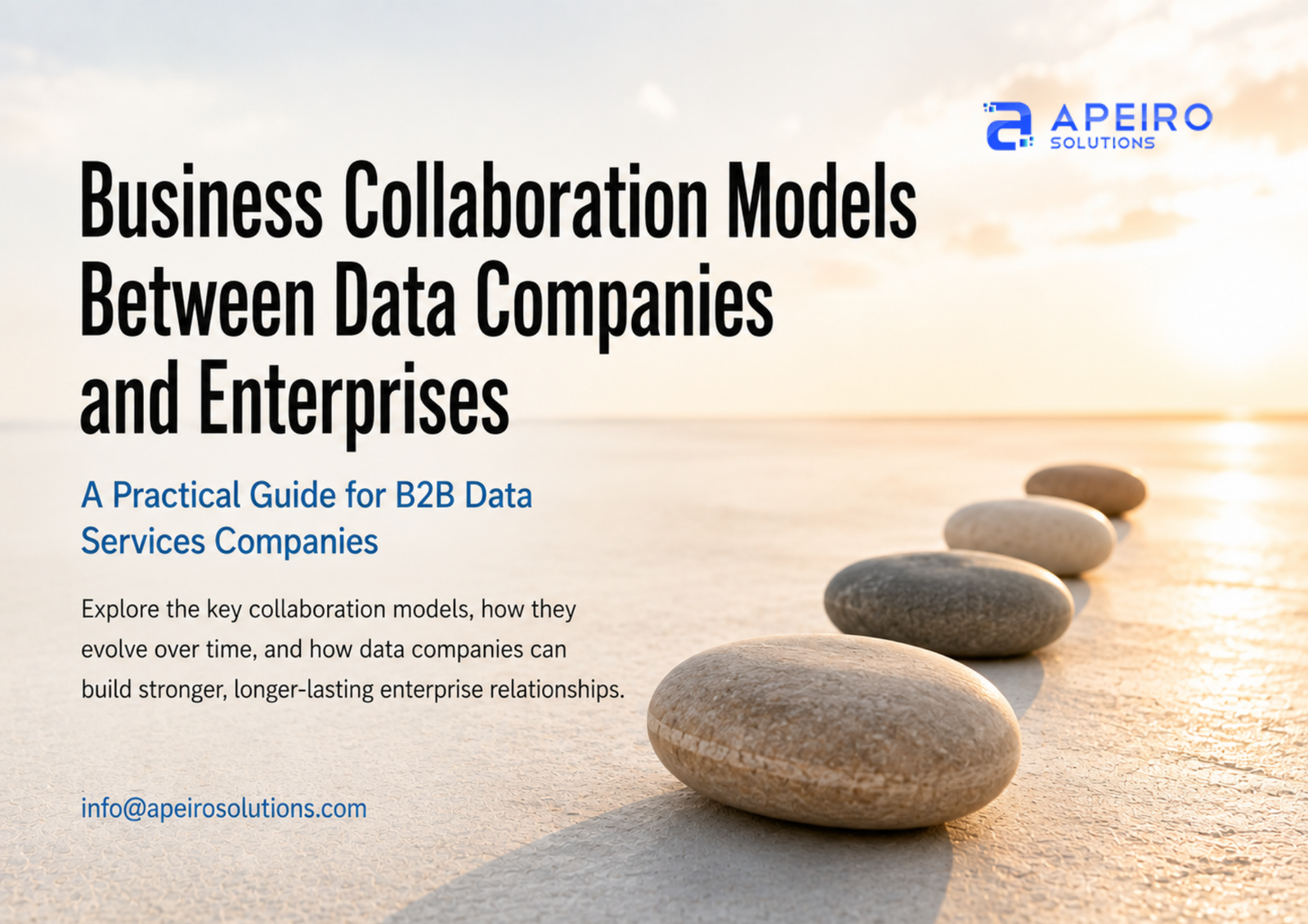 Business Collaboration Models Between Data Companies and Enterprises