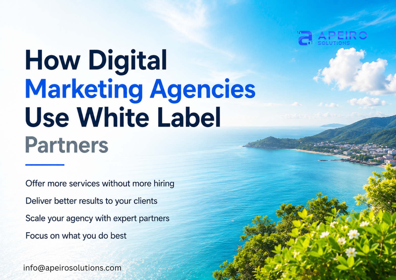 How Digital Marketing Agencies Use White Label Partners