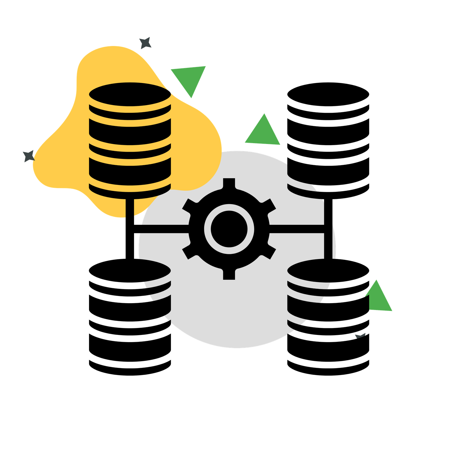 Database Management 